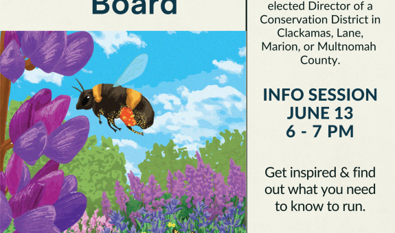 a square graphic with an image of a bee visiting a purple lupine flower in a naitve plant garden and info about the Learn How to Join Our Board webinar on June 13 at 6 pm RSVP at bit.ly/join-our-board