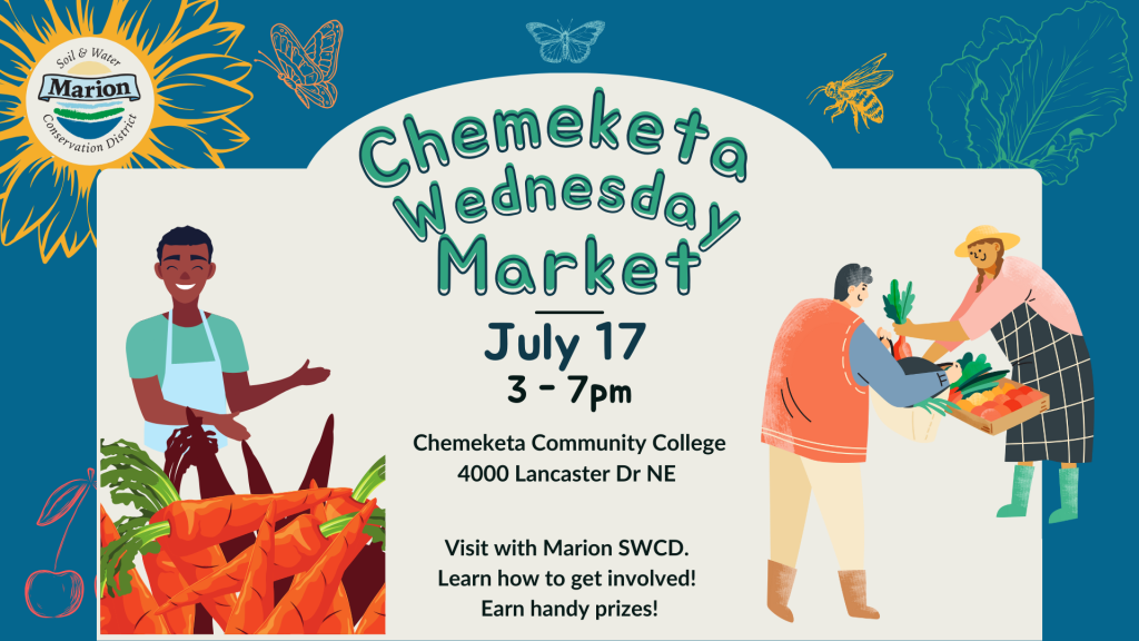 graphic with sunflower, butterflies, bee, cherry, lettuce, a couple people working at farmstands, and info about the July 17 Chemeketa Wednesday Market that MSWCD will be attending.