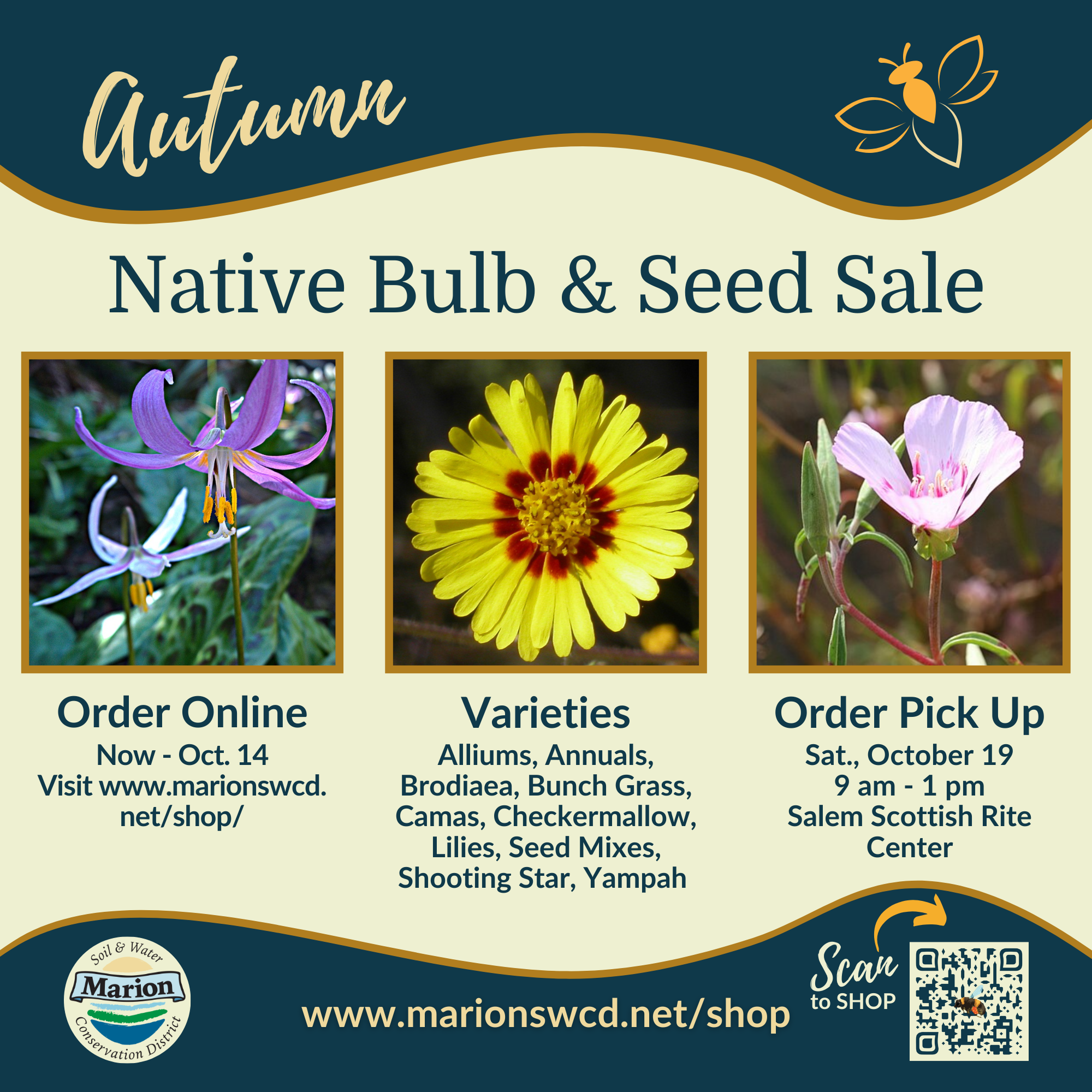 a square image advertising the Autumn Native Bulb and Seed Sale with photos of Pink Fawn-lily, showy tarweed, and farewell to spring.