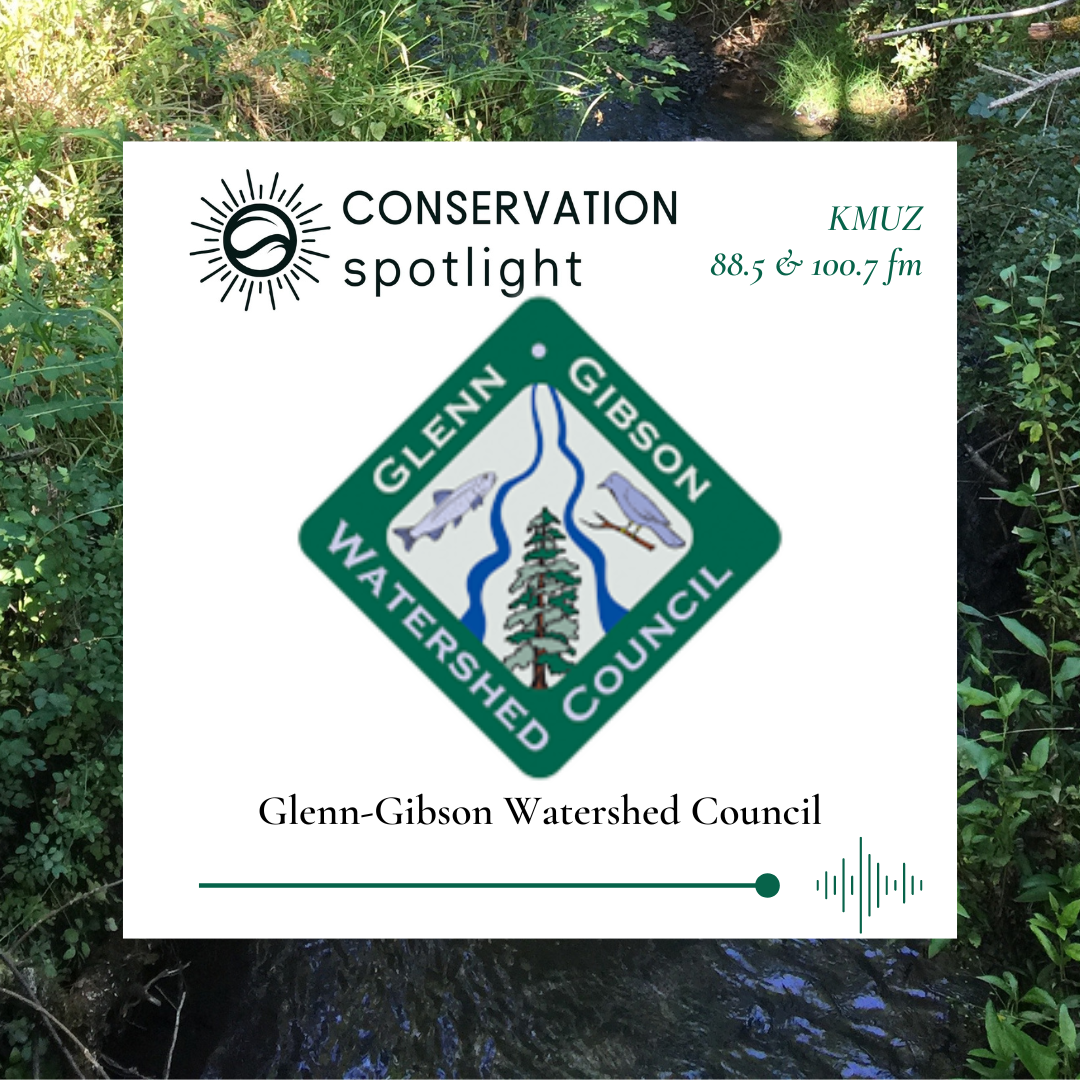 A green diamond with the words Glenn Gibson Watershed Council in the center of a graphic advertising the August Conservation Spotlight