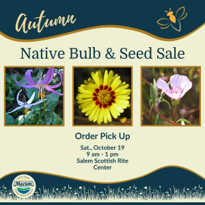 a square image advertising the Autumn Native Bulb and Seed Sale with photos of Pink Fawn-lily, showy tarweed, and farewell to spring.