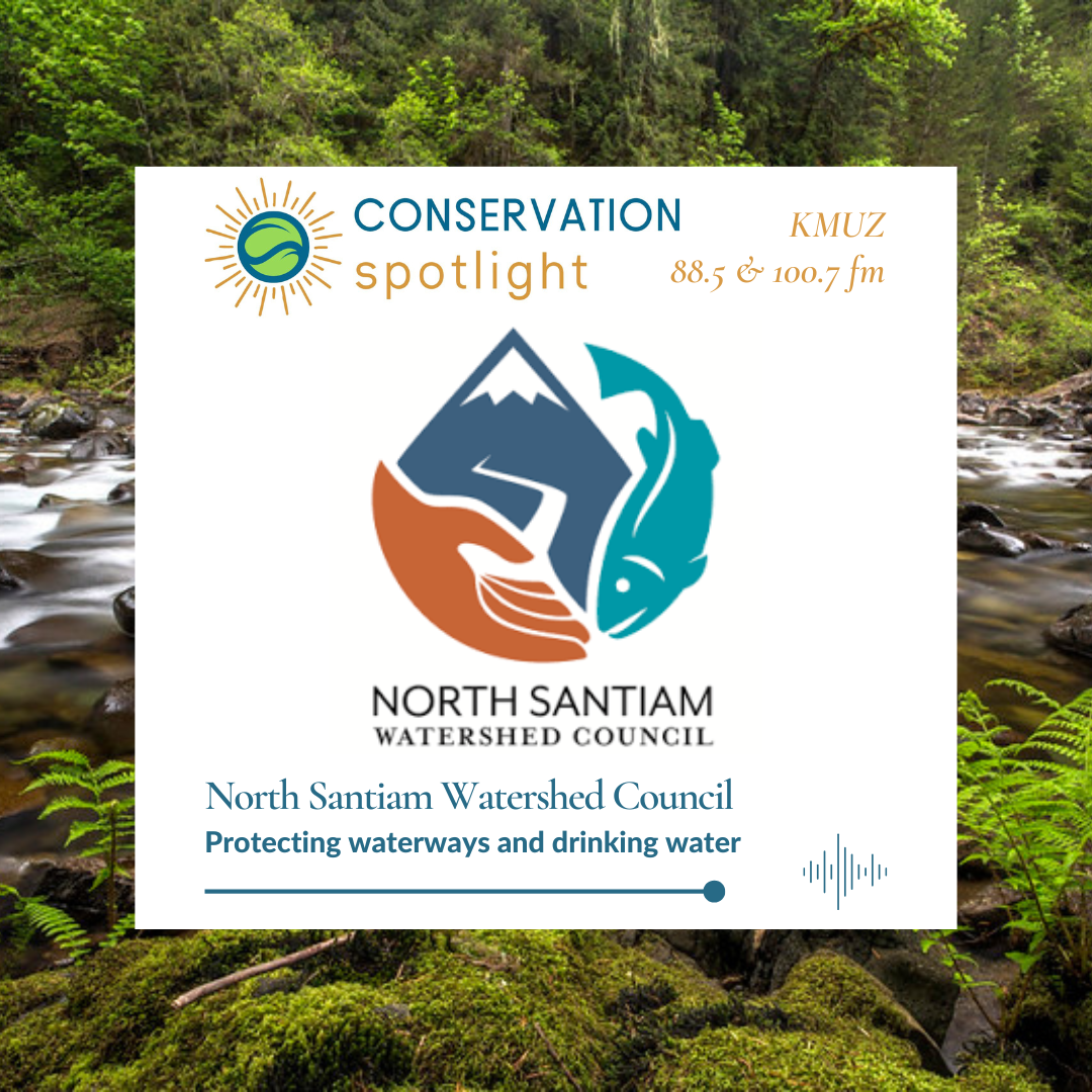 a graphic for the November 2024 Conservation Spotlight featuring North Santiam Watershed Council