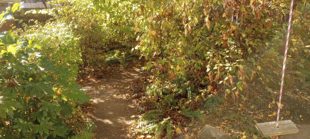 a habitat yard with layers of vegetation